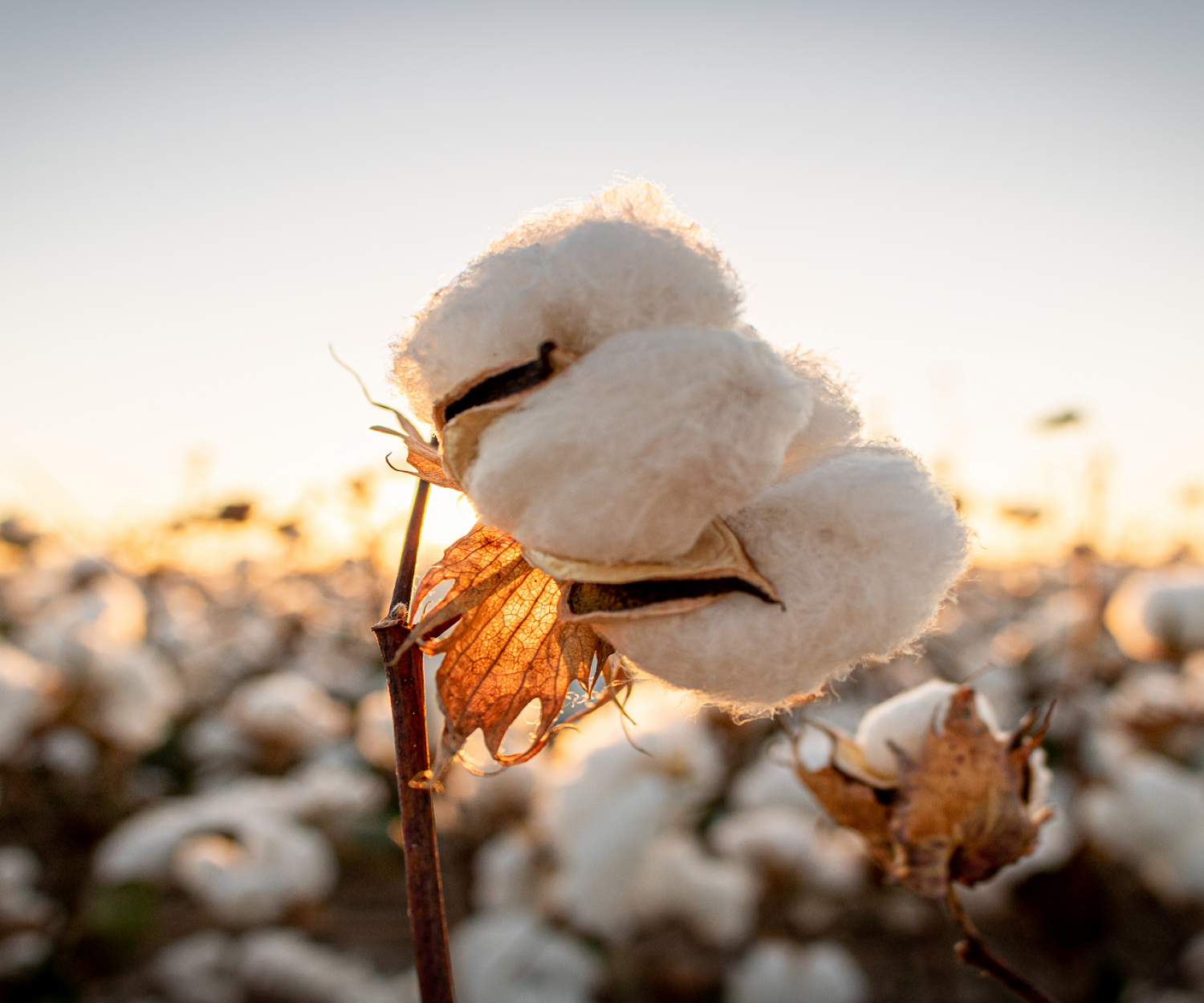 GOTS-zertifizierte Textilproduktion